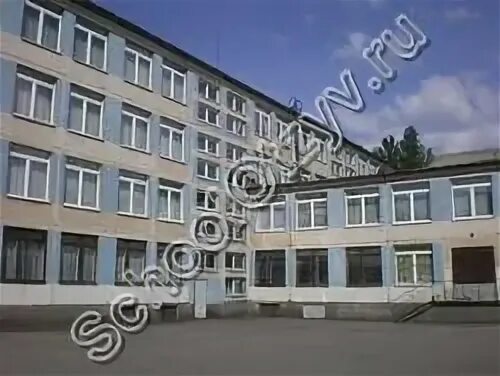 Школа 311 отзывы