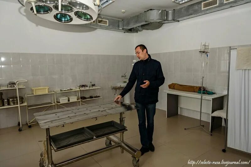 Зональный информационный центр. Зцкс самара. центр кинологической службы самара мвд.