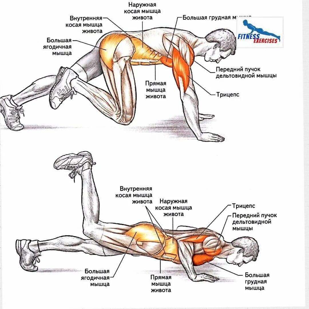 Поперечная мышца живота как накачать. Упражнения для прокачки косых мышц живота. Упражнения для внутренних косых мышц. Упражнения на внутренние косые мышцы. Упражнения на наружную косую мышцу.