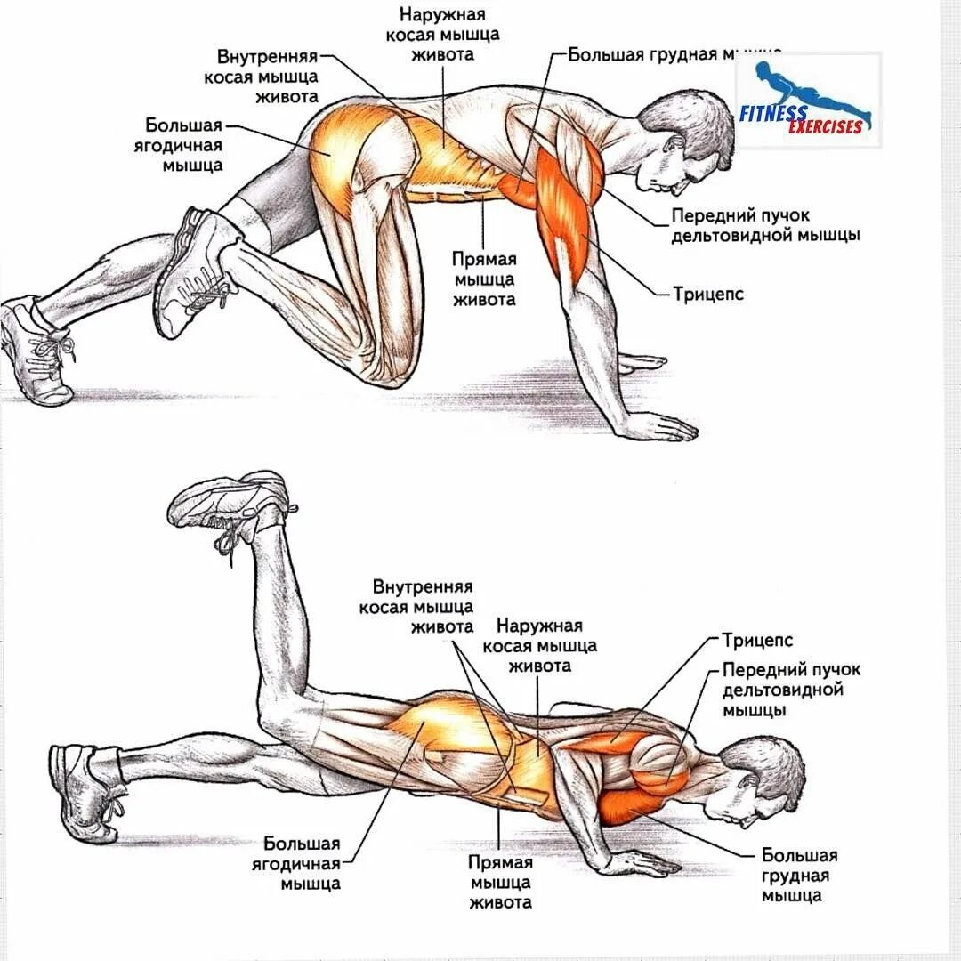Как накачать внутренние мышцы. Упражнения для прокачки косых мышц живота. Упражнения для внутренних косых мышц. Упражнения на внутренние косые мышцы. Упражнения на наружную косую мышцу.