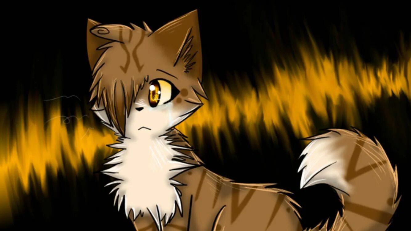 Коты воители как лечить кашель. Коты воители кленовница. коты воители пестролистая. коты воители пестролистая и остролистая. коты воители пестролистая арт.