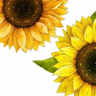 Как пройти уровень лепестки подсолнуха life gallery