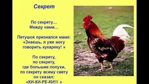 Песня кукареку