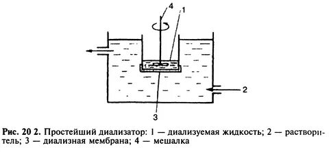 Диализ белков биохимия