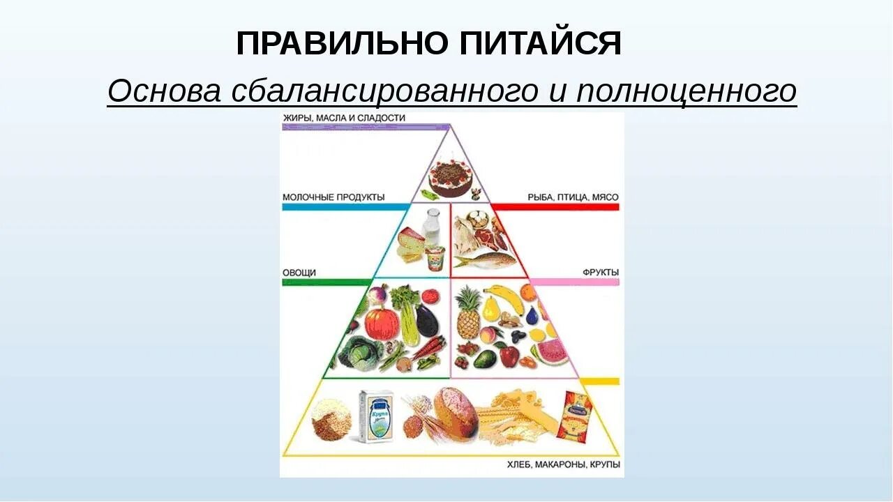 Сбалансированное и разнообразное питание. Правильное сбалансированное питание. Умеренное и сбалансированное питание. Основы правильного питания.