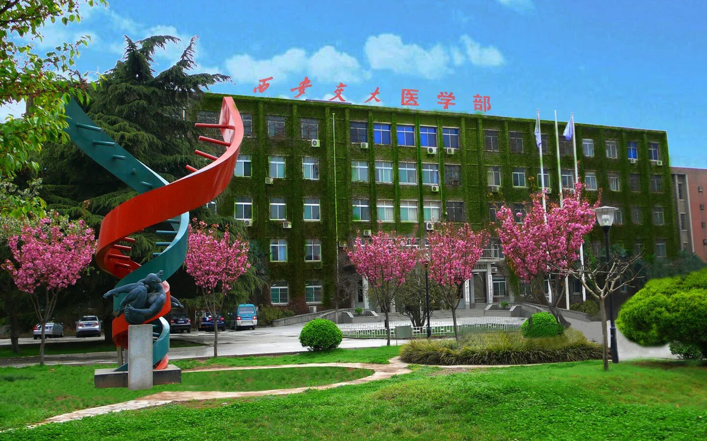 Университет XI'an Jiaotong. Сиамский транспортный университет. Xian Jiaotong Daxue. Площадь XI'an Jiaotong University.