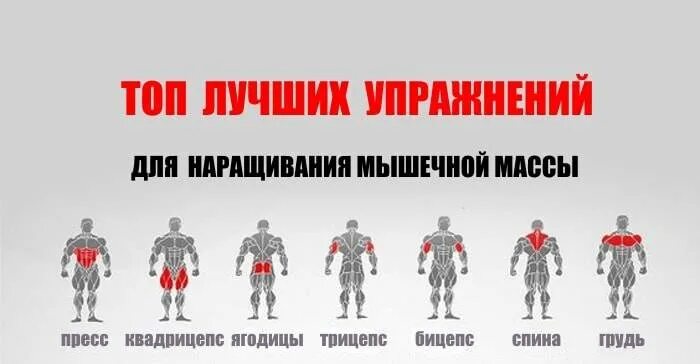 Программа мышцы. Упражнения для набора массы. Упражнения для набора массы мышц. Тренировка для набирания мышечной массы. Массу в мышцы упражнения.