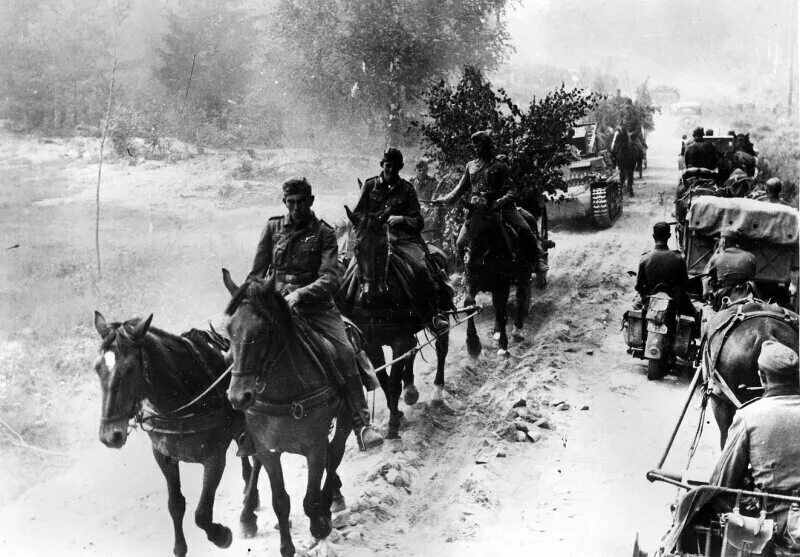 Гужевой транспорт РККА В ВОВ 1941-1945 гг. Кавалеристы вермахта. Кавалерия в ВОВ 1941. Кавалерия вермахта на Восточном фронте.