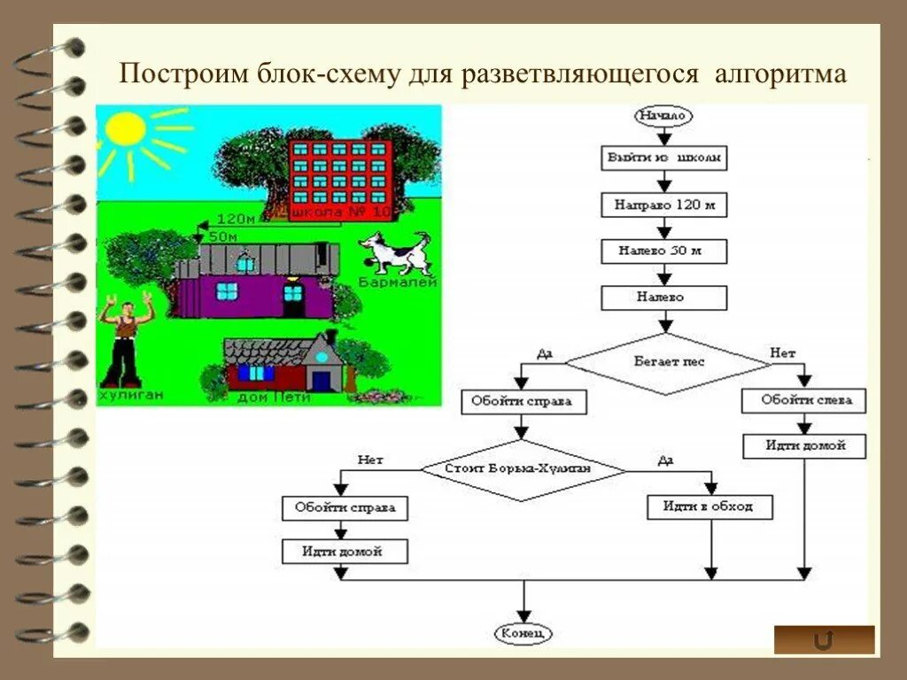 Блок схема алгоритма Информатика 3 класс. Блок-схемы алгоритмов Информатика 8 класс. Блок-схемы и алгоритмы в начальной школе. Блок схема алгоритма для начальной школы в информатике.