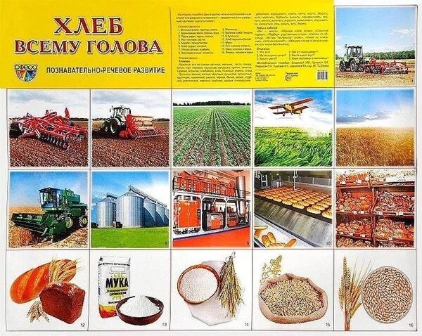 Практическая часть проекта хлеб всему голова Проект про хлеб 1 класс