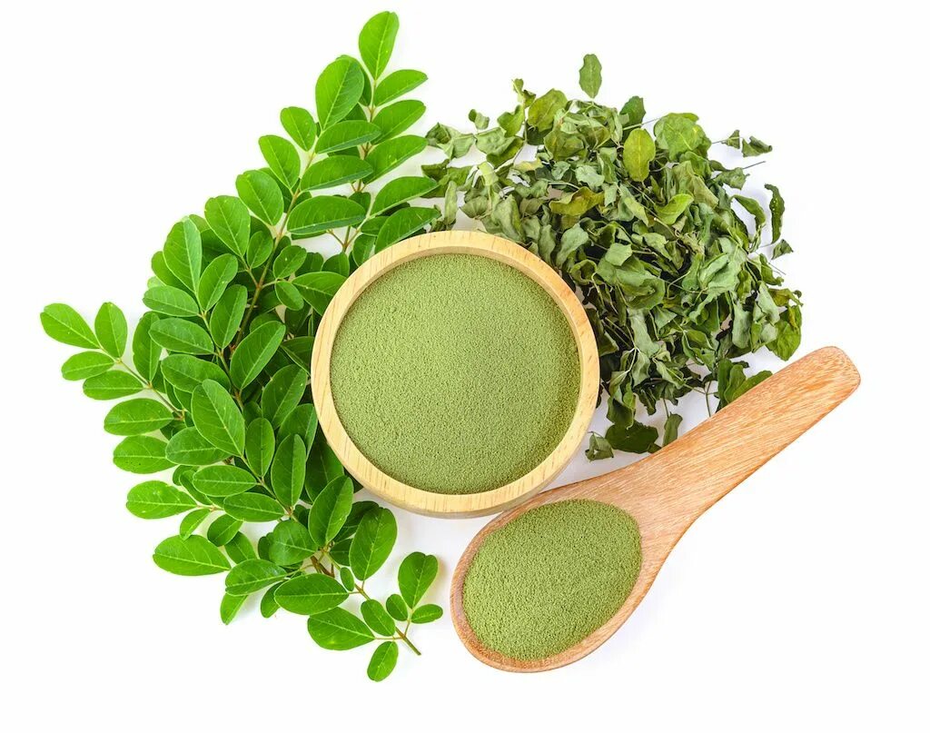 Indigo leaf powder. Leaf powder. Neem churna, karmeshu. Порошок из листьев. Leaf powder.