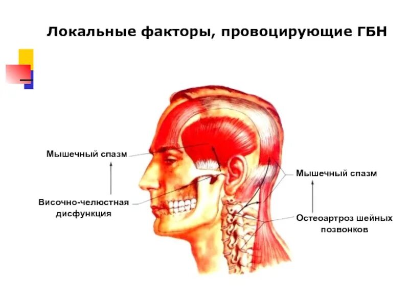 Напряжение в затылке