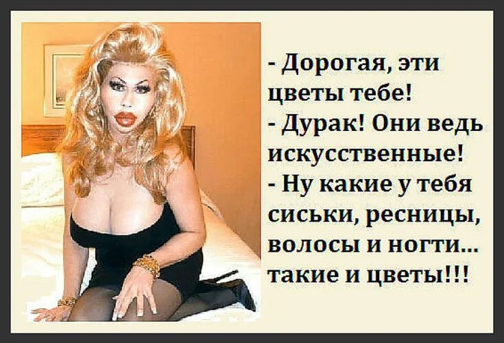 юмор про красоту. женский юмор. о женщина. анекдот про женскую красоту. смешные фразы про женскую красоту.
