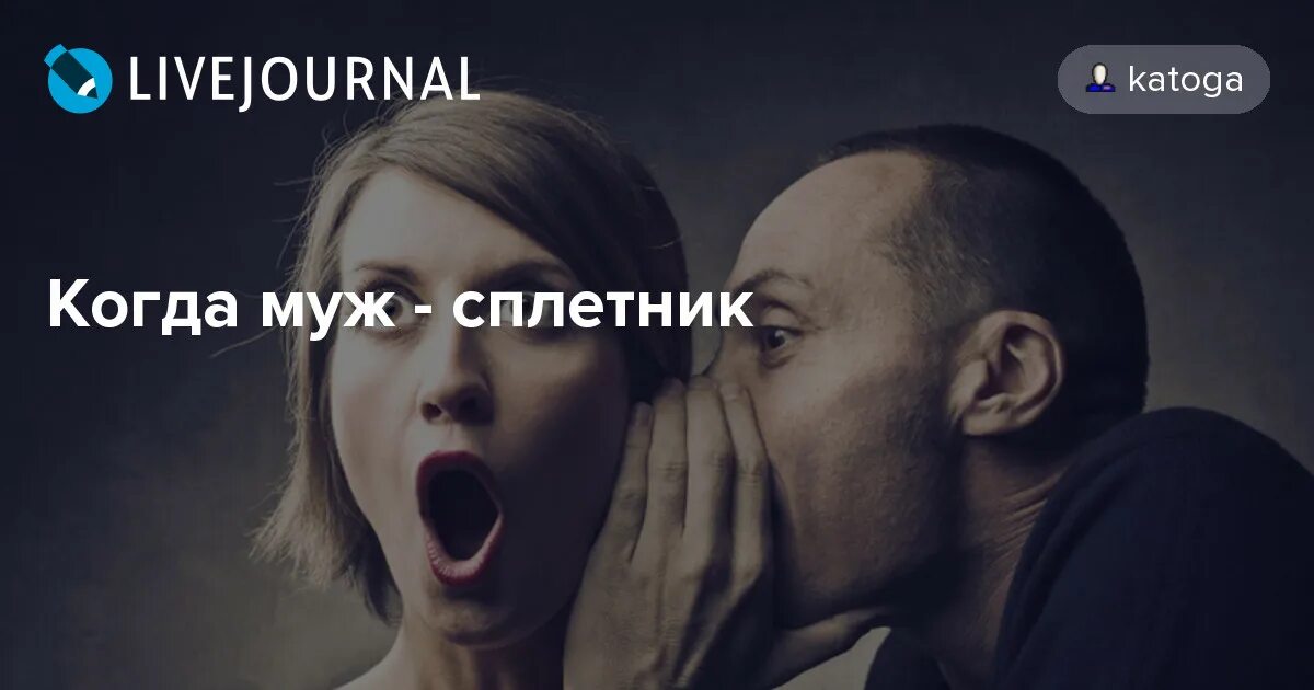 Сплетник книги. Сплетник книги