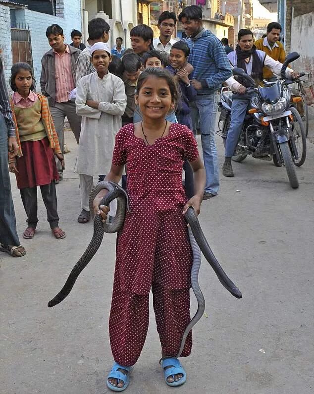 Индийский про змей. Каджол Хан. Каджол Хан индийская девочка. Каджол Хан Заклинательница змей.