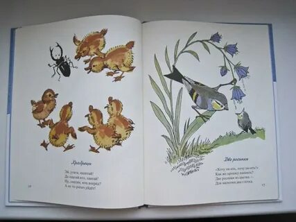 Книга пик