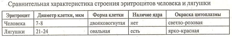 Лабораторная работа 9 по биологии 8 класс. Сравнение крови человека с кровью лягушки лабораторная. Лабораторная работа изучение микроскопического строения крови. Лабораторная работа по биологии 8 класс изучение и строение крови. Изучение микроскопического строения крови человека и лягушки.