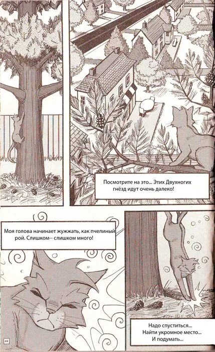 Коты воители пропавший воитель. Коты воители манга пропавший воитель. эрин хантер коты воители глава 1. манга коты воители крутобок 1 часть. коты воители книги манга.