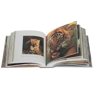 Куб книги
