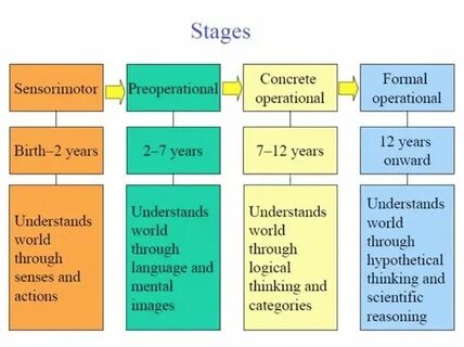 World understanding is