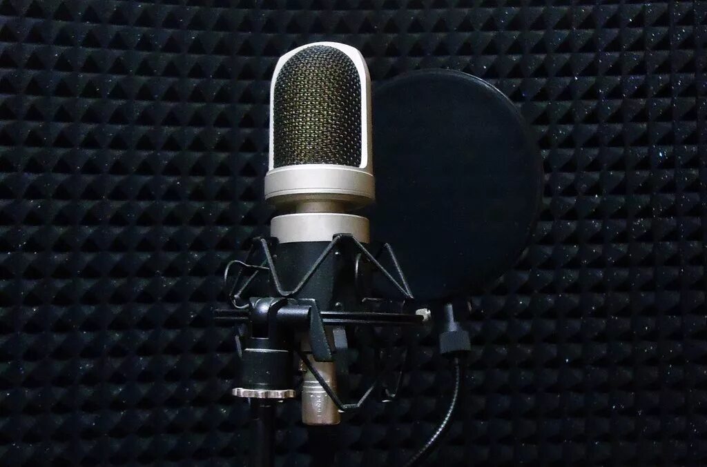 Студия записи вокала. Студийный микрофон рамштайн. Студийный микрофон dpa 2006c. Средства звукозаписи (звуковые платы, микрофоны). Dbh студийный микрофон.