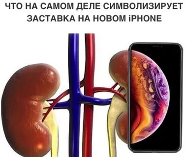 Отказали обе почки