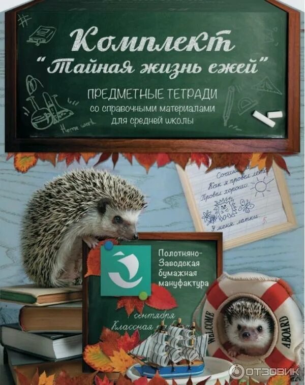 48 тетрадь. Тетради жизнь ежей. Тетради жизнь ежей. Предметные тетради тайная жизнь ежей. Тетради жизнь ежей.