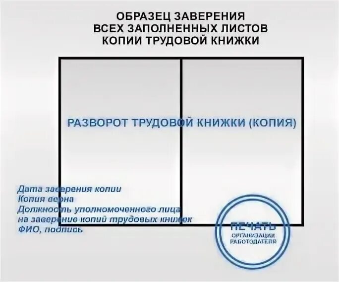 Копия верна заверить трудовую книжку. Образец правильного заверения трудовой книжки. Заверенная трудовая образец. Как заверить трудовую книжку. Заверенная трудовая образец.