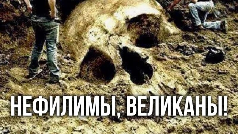 Исполины читать. Современные люди великаны. гиганты исполины нефилимы.