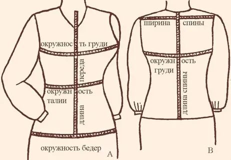 Ширина спины мерка