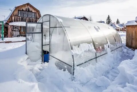 Теплица осенью готовим к новому сезону