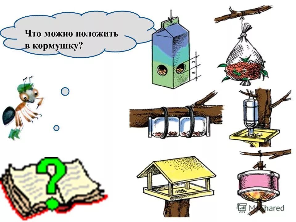 что можно положить в кормушку