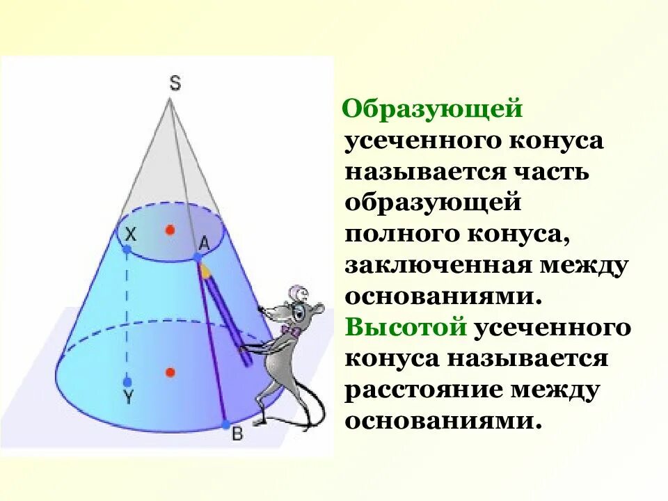 Расстояние между основаниями называется