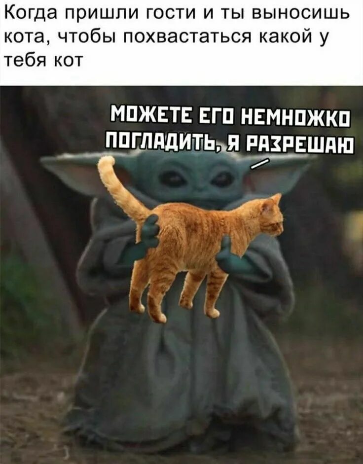 Мемы если бога нет. Я могу вам помочь. А вы можете его показать. Бриллиантовая рука зачем я соврал а зачем он спросил. Может тебе еще ключи от квартиры где деньги лежат.