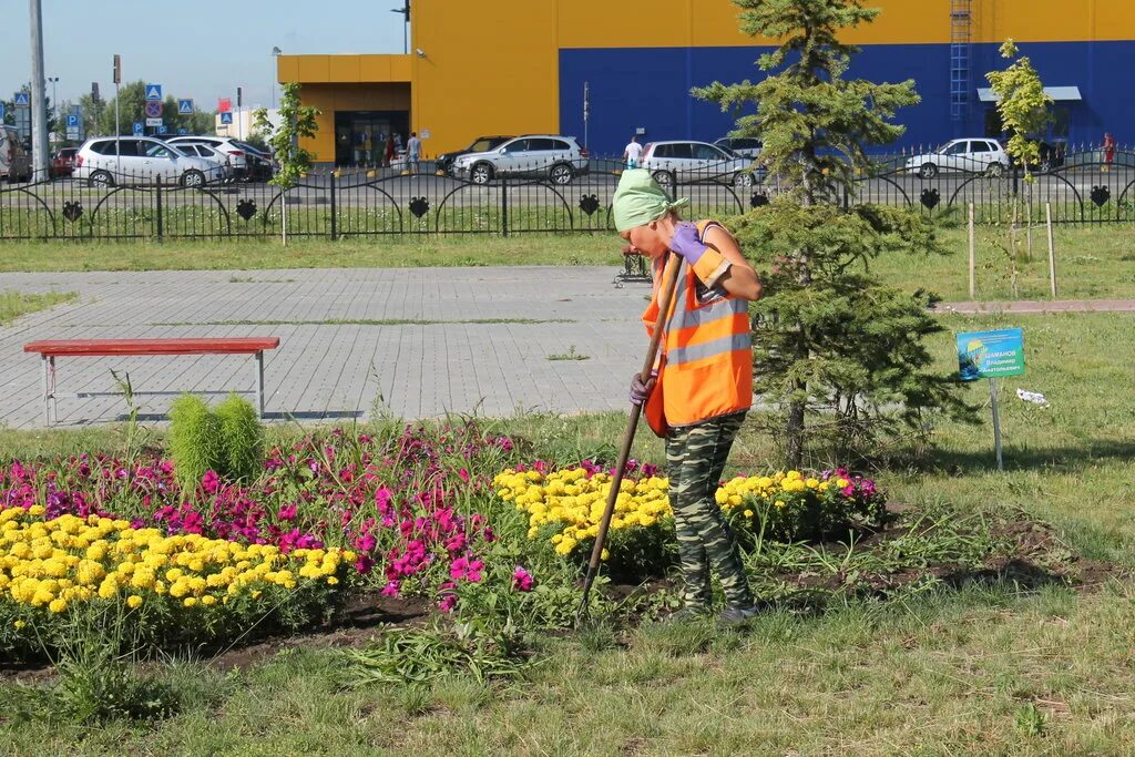 Работа рабочий по благоустройству. Общественные работы. рабочий по благоустройству. озеленение рабочие. общественные работы озеленение.