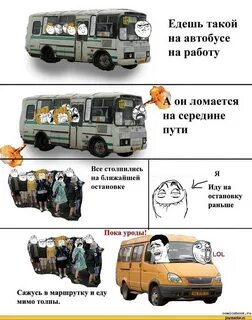 Почему не ездят автобусы