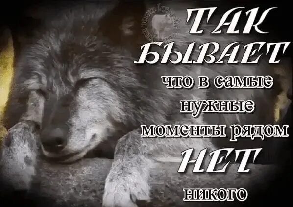 4 5 никого не замечаешь ты. Когда помощь нужна мне рядом никого. Бывает так что в самые нужные моменты рядом нет никого. Когда нужна поддержка рядом никого. Когда нужна помощь никого нет рядом.