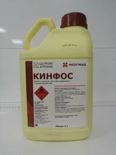 Кинфос инструкция