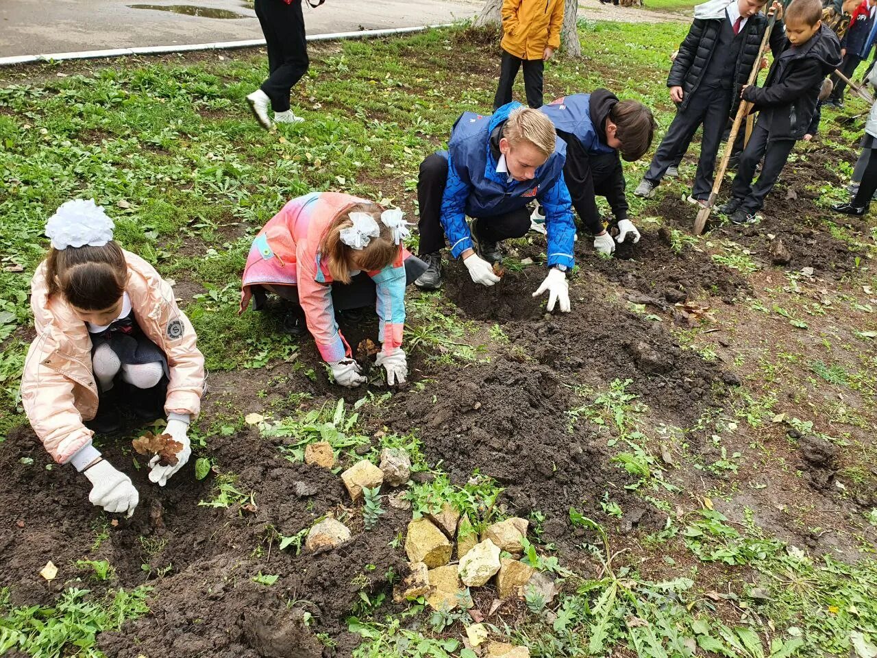 Посадка деревьев. Посади дерево. Акция посади дерево. Групповая посадка деревьев. Включи а 4 посади