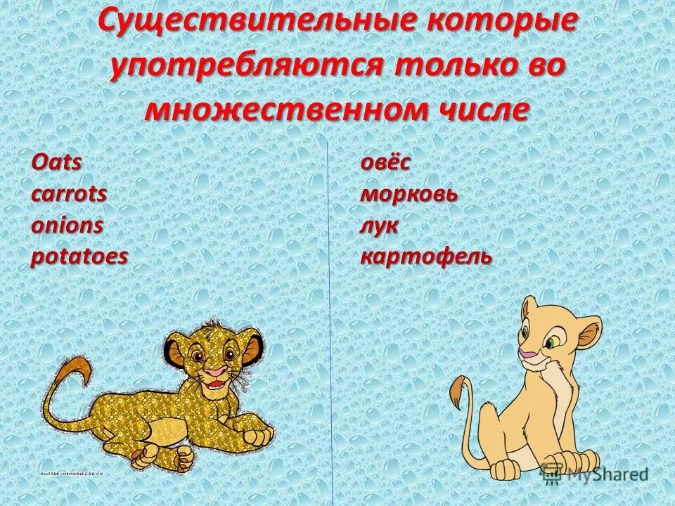 Многие в единственном числе. Существительные которые употребляются только во множественном числе.