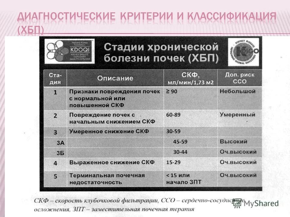 Диагностические критерии ХБП. ХБП по мкб. Критерии диагностики хронической болезни почек. ХБП мкб 10. Хбп по мкб 10 у взрослых