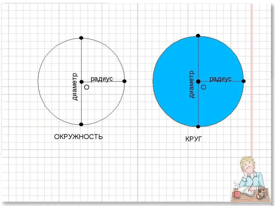 Радиус первого. Математика 3 класс окружность круг радиус диаметр. Окружность круг радиус диаметр 3 класс. Радиус и диаметр окружности 3 класс. Диаметр окружности 3 класс.