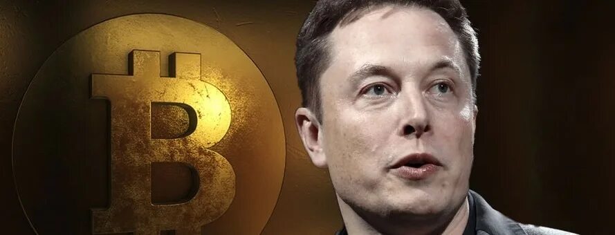 Илон маск биткоин прогноз. Илон маск. илон маск биткоин. илон маск тесла и bitcoin. tesla илон маск.