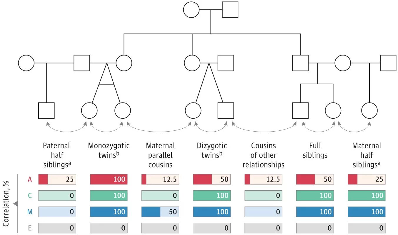 All girls are the same перевод. Сиблинги схема. Half sibling relationships. Genetic Environmental correlation.. Paternal half cousin.