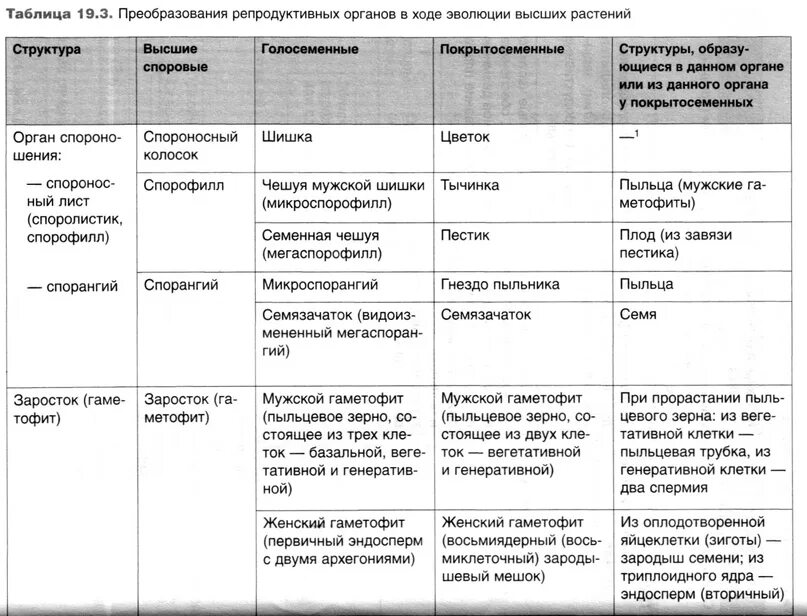 Таблица эволюционные преобразования