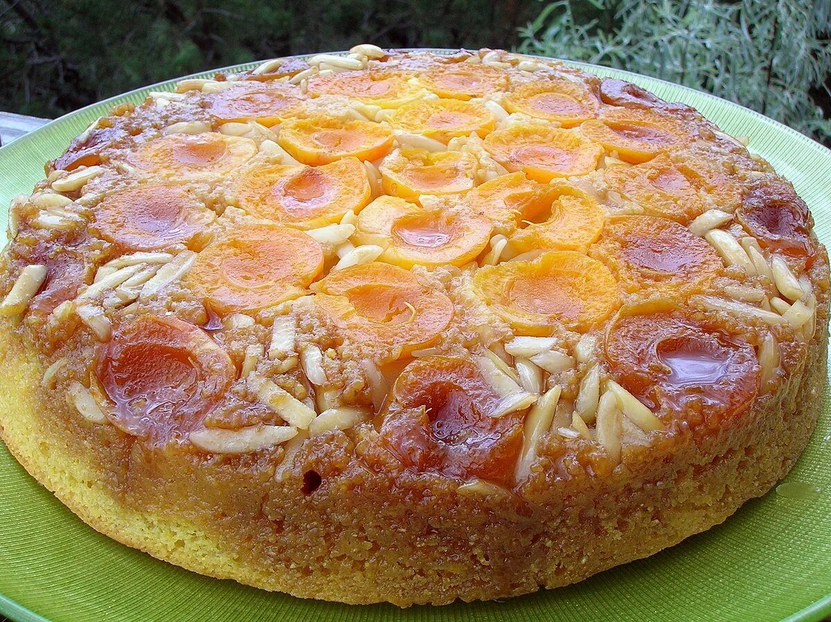 Домашние пироги быстро и вкусно. Пироги. пирог домашний. выпечка с абрикосами. дрожжевой пирог с абрикосами.