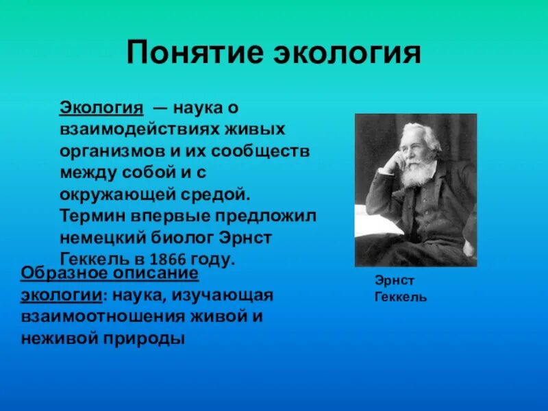 Термин экология в 1866 году. Понятие экология. Термин экология. Экологические понятия. Основные понятия экологии.