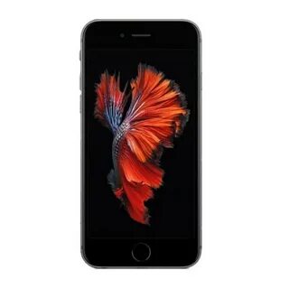 I 6 s