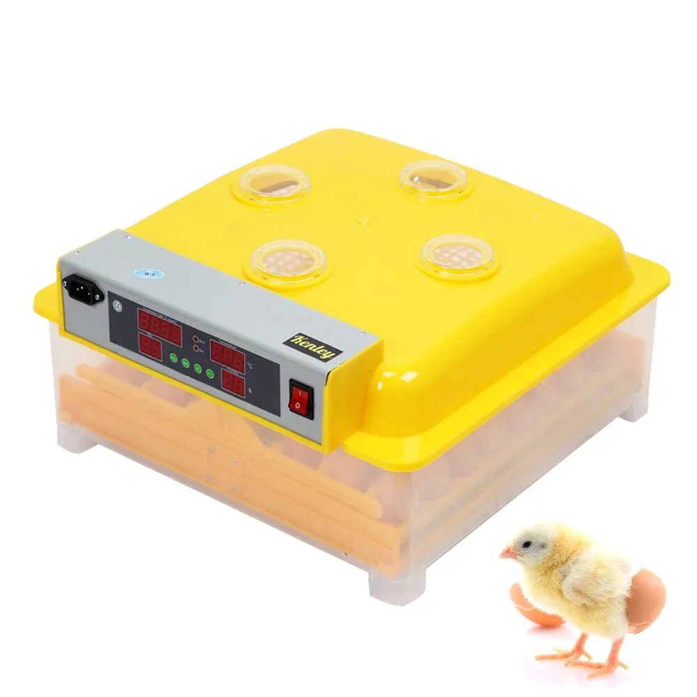 Инкубатор 48eggзапчасти. Инкубатор мини-Брудер. Инкубатор для яиц Egg incubator QC Pass 04. Инкубатор Dulong WG 48.