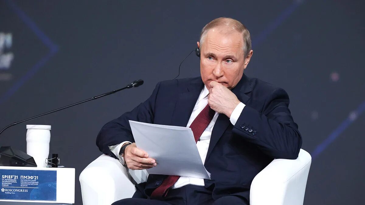 Выступления на пмэф. Выступления на пмэф
